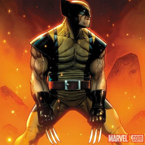 Wolverine: The Next Round