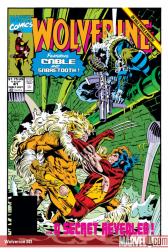 Wolverine #41 
