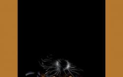 ULTIMATE X-MEN (2005) #52 COVER