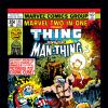 Marvel Two-in-One (1974) #43 Cover