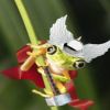 A frog as Thor, submitted by salmazojunior