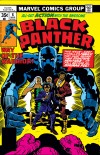 Black Panther (1976) #8