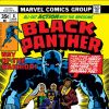 BLACK PANTHER #8