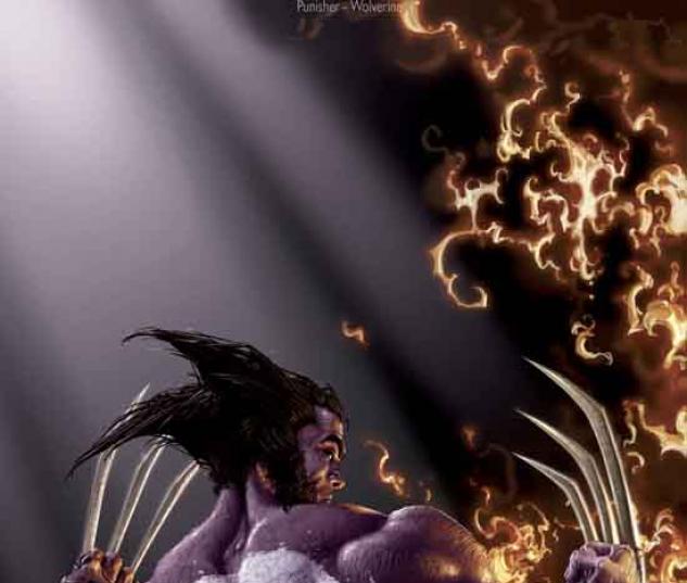 WOLVERINE/PUNISHER #4