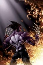 Wolverine/Punisher (2004) #4