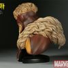 Sabretooth Legendary Scale Bust from Sideshow Collectibles
