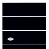 Punisher (2008) #10