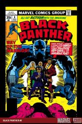 Black Panther #8 