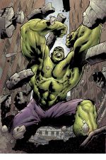 Hulk: Destruction (2005) #1