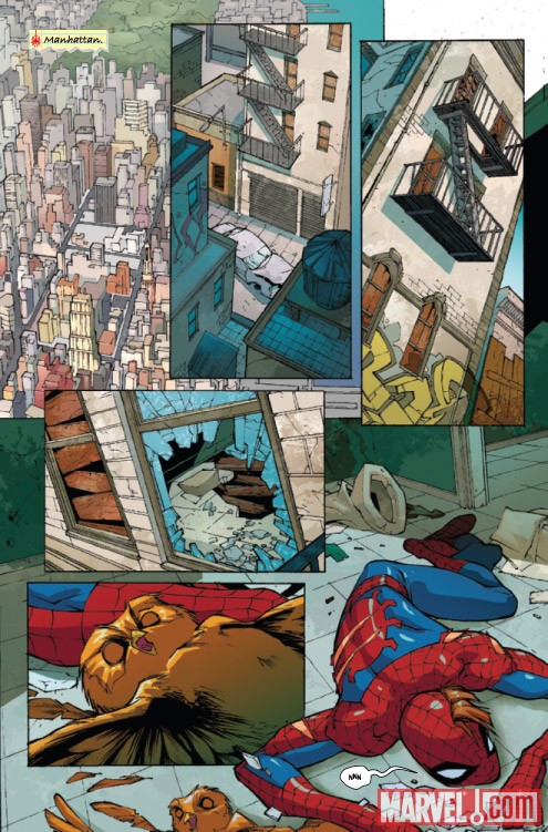 Marvel Adventures Spider-Man #5 preview art by Roberto Di Salvo