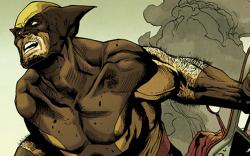 First Look: Wolverine #12
