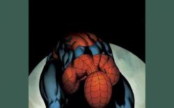 ULTIMATE SPIDER-MAN (2006) #63 COVER