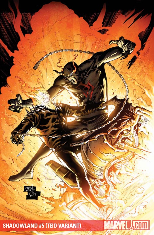 Shadowland (2010) #5 (TAN VARIANT)