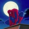 Spider-Man (SM94)