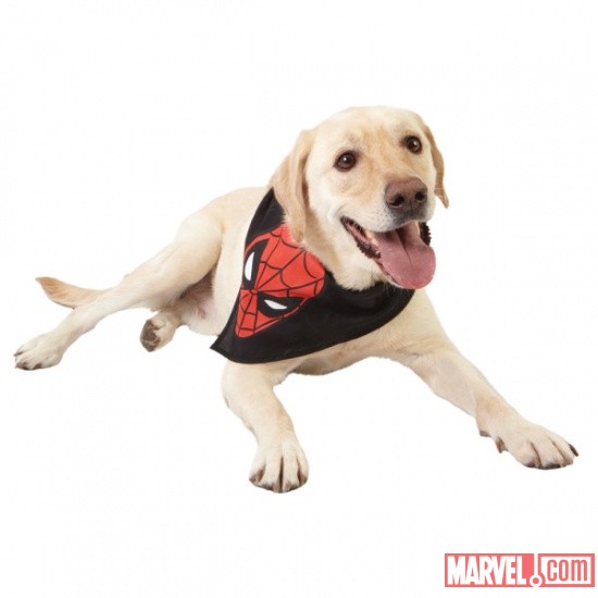 Spider-Man Black Bandana by Fetch available at PetSmart