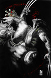 Wolverine (2003) #52 (Black and White Variant)