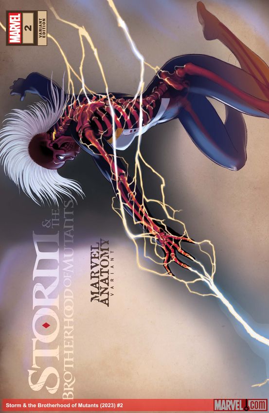 Storm & the Brotherhood of Mutants (2023) #2 (Variant)
