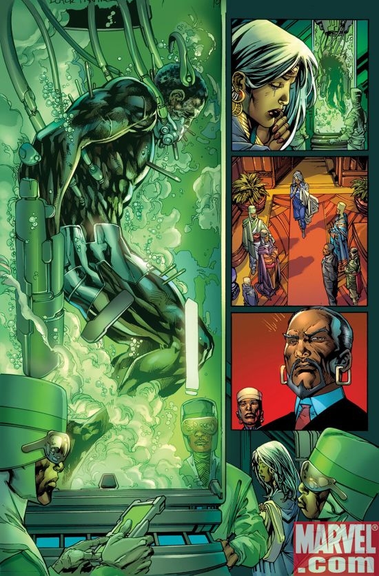 BLACK PANTHER #1 preview art by Ken Lashley