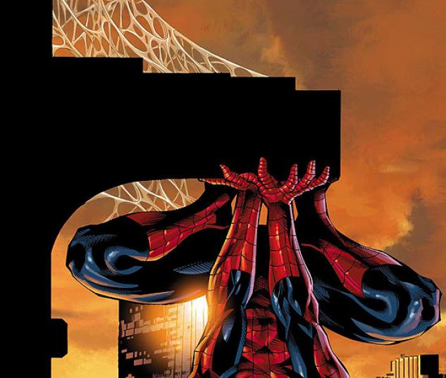 AMAZING SPIDER-MAN FAMILY #2