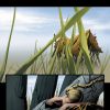 Dark Tower: Gunslinger Born #7 Page 1