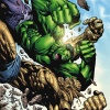 Hulk vs. Abomination by Aaron Lopresti
