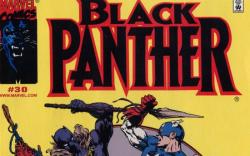 Black Panther #30