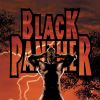 BLACK PANTHER #6