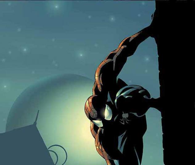 AMAZING SPIDER-MAN (1990) #521 COVER