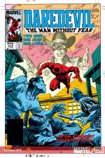 Daredevil (1963) #215