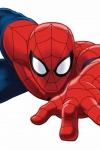 Marvel Universe ULTIMATE SPIDER-MAN (2011) #2