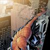 Spectacular Spider-Man #13