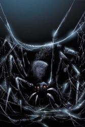 Spectacular Spider-Man #20 