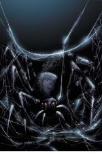 Spectacular Spider-Man (2003) #20