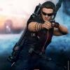 Hawkeye Sixth Scale Figure (by Hot Toys)