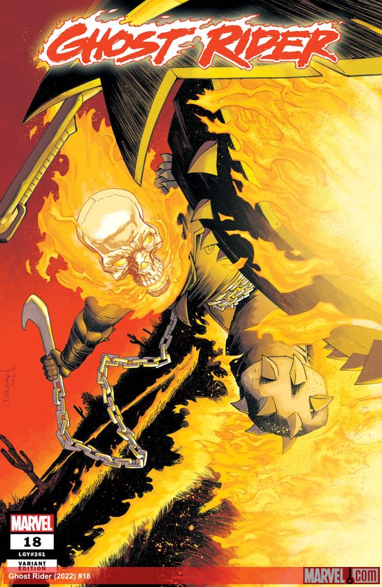 Ghost Rider (2022) #18 (Variant)
