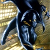 Black Panther by Mark Texiera
