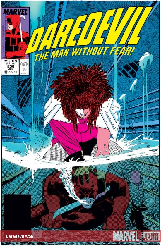 DAREDEVIL #256 COVER