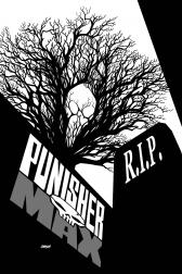 Punishermax #22 
