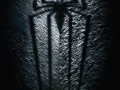 Amazing Spider-Man: The Untold Story Begins