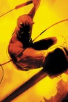 Daredevil: Reborn (2010) #2