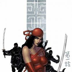 ELEKTRA: THE HAND (2004) #1 COVER