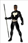 Shadow Hawk(ally)