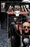 Punisher (2001) #28