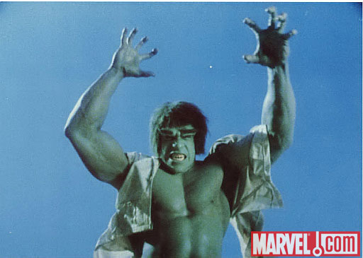 Lou Ferrigno as the Hulk