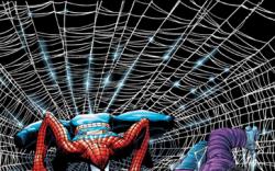 AMAZING SPIDER-MAN (2004) #503 COVER