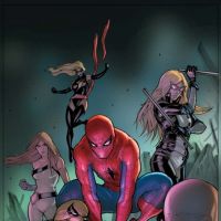 Amazing Spider-Man #653 cover by Stefano Caselli