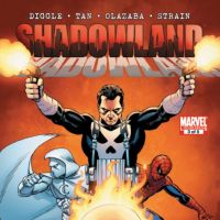 Image Featuring Ghost Rider (Johnny Blaze), Moon Knight, Punisher
