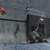 Smack! Rhino hits a wall
