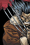 Weapon X: Days of Future Now (2005) #1