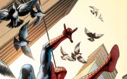 SPECTACULAR SPIDER-MAN (2004) #16 COVER